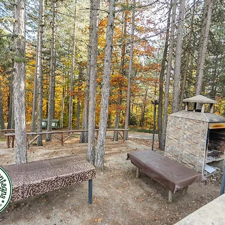 Апартаменты Posto Di Montagna - Elegante Di 3 Nella Quiete Della Natura, Arredato In Vero Stile Casa Di Montagna, Free Wifi - Netflix, Disney, Dazn, Prime Video, Infinity *