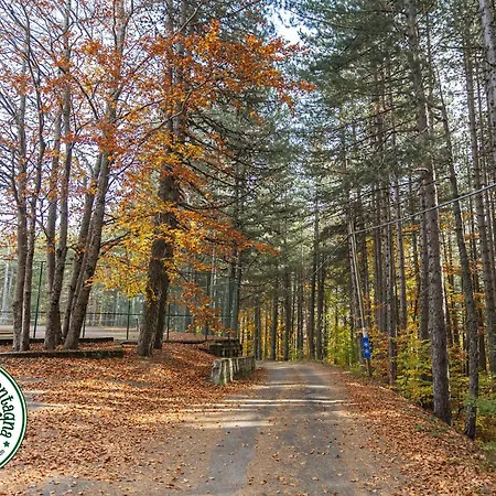 Posto Di Montagna - Elegante Di 3 Nella Quiete Della Natura, Arredato In Vero Stile Casa Di Montagna, Free Wifi - Netflix, Disney, Dazn, Prime Video, Infinity Апартаменты Камильятелло-Силано
